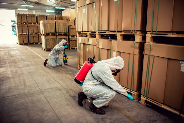Best Mosquito Control Services  in Caruthersville, MO