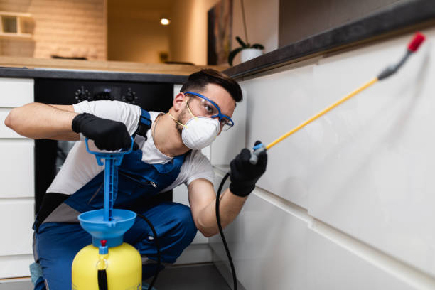 Best Local Pest Control Services  in Caruthersville, MO