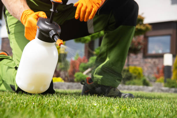 Best Best Pest Control Companies  in Caruthersville, MO