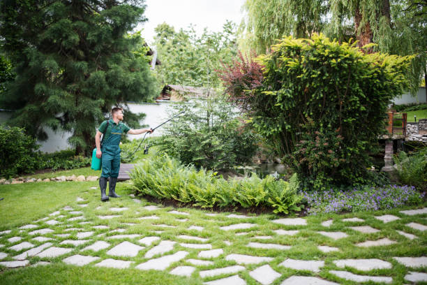 Best Wildlife Control Services  in Caruthersville, MO