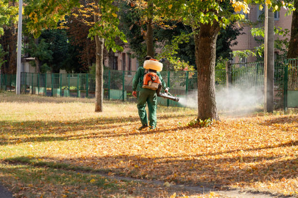 Best Pest Prevention Services  in Caruthersville, MO