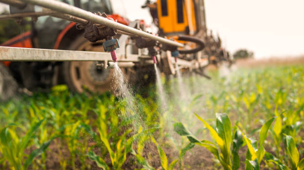 Best Mosquito Control Services  in Caruthersville, MO